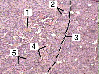 Fig 35-002