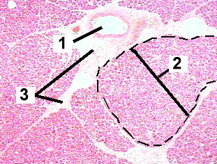 Fig 50-001