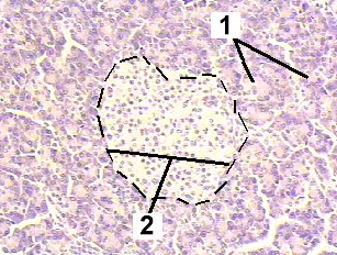 Fig 50-002
