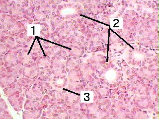 Fig 8