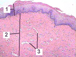 Fig 90-001